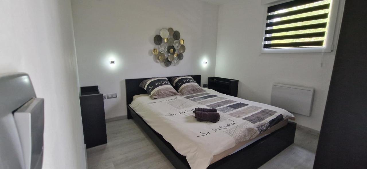 Apartment Au Petit Canal De Colmar 2 *